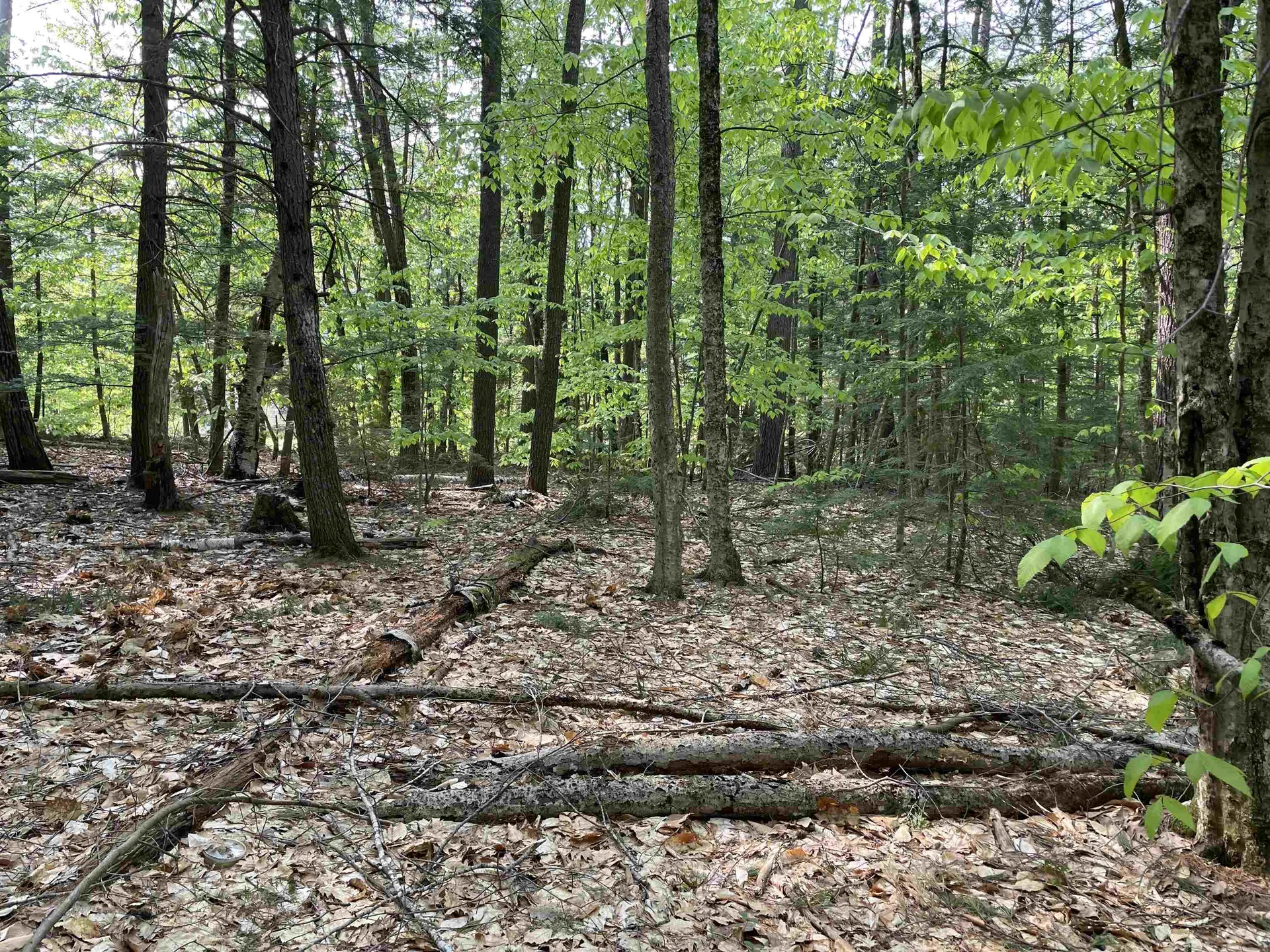 20 Barrington Circle Ossipee NH 03814