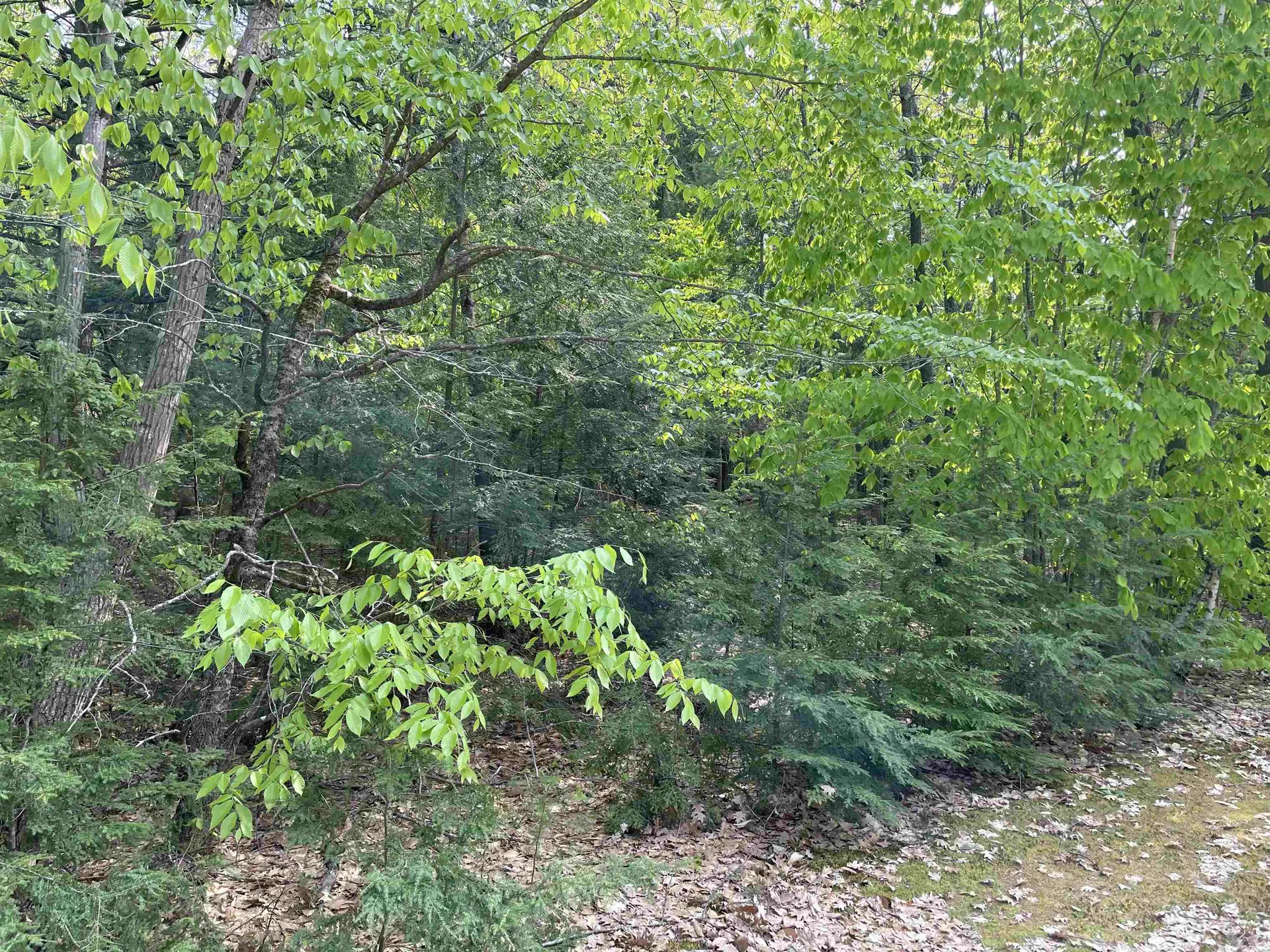 20 Barrington Circle Ossipee NH 03814