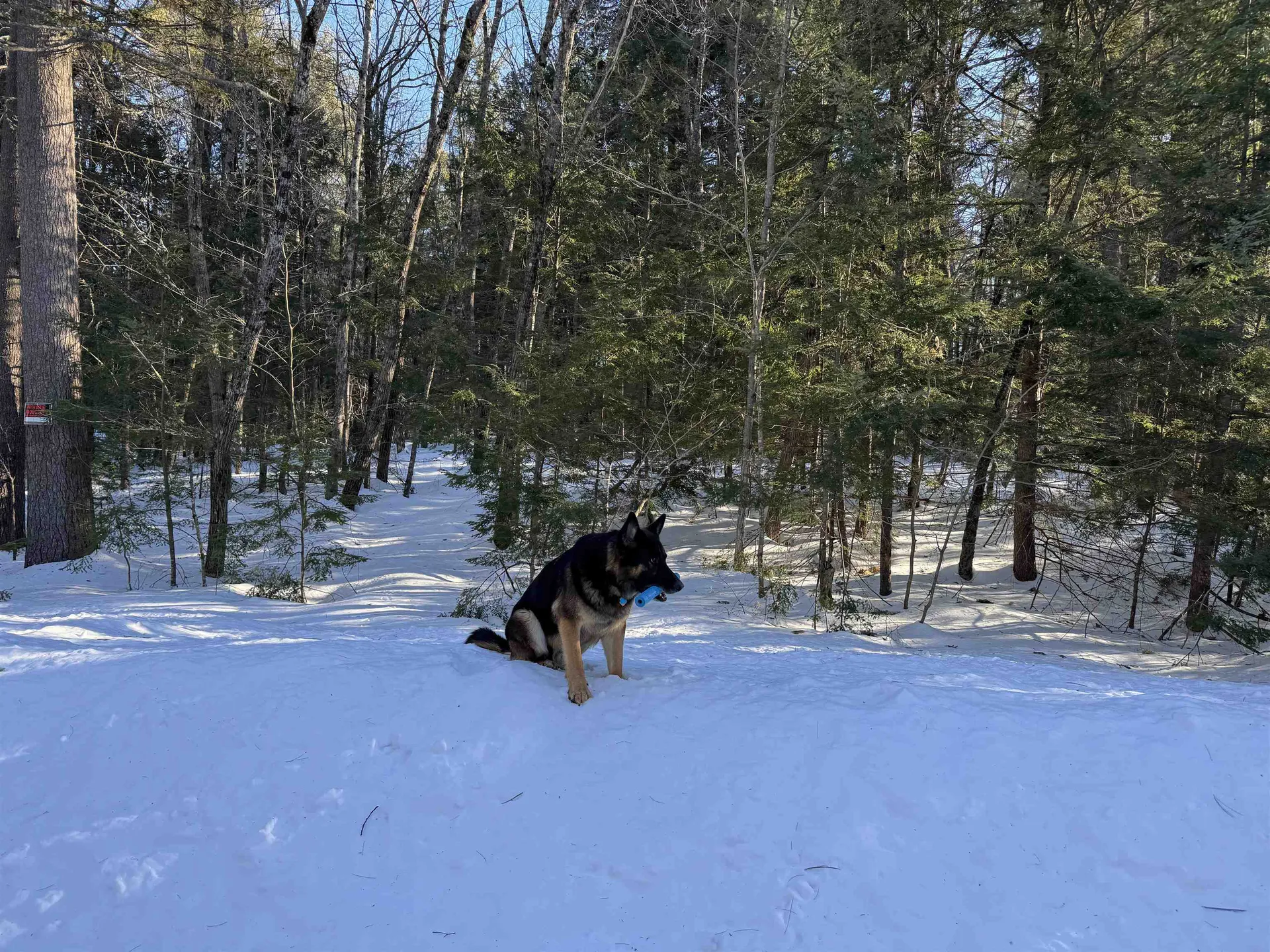 20 Barrington Circle Ossipee NH 03814