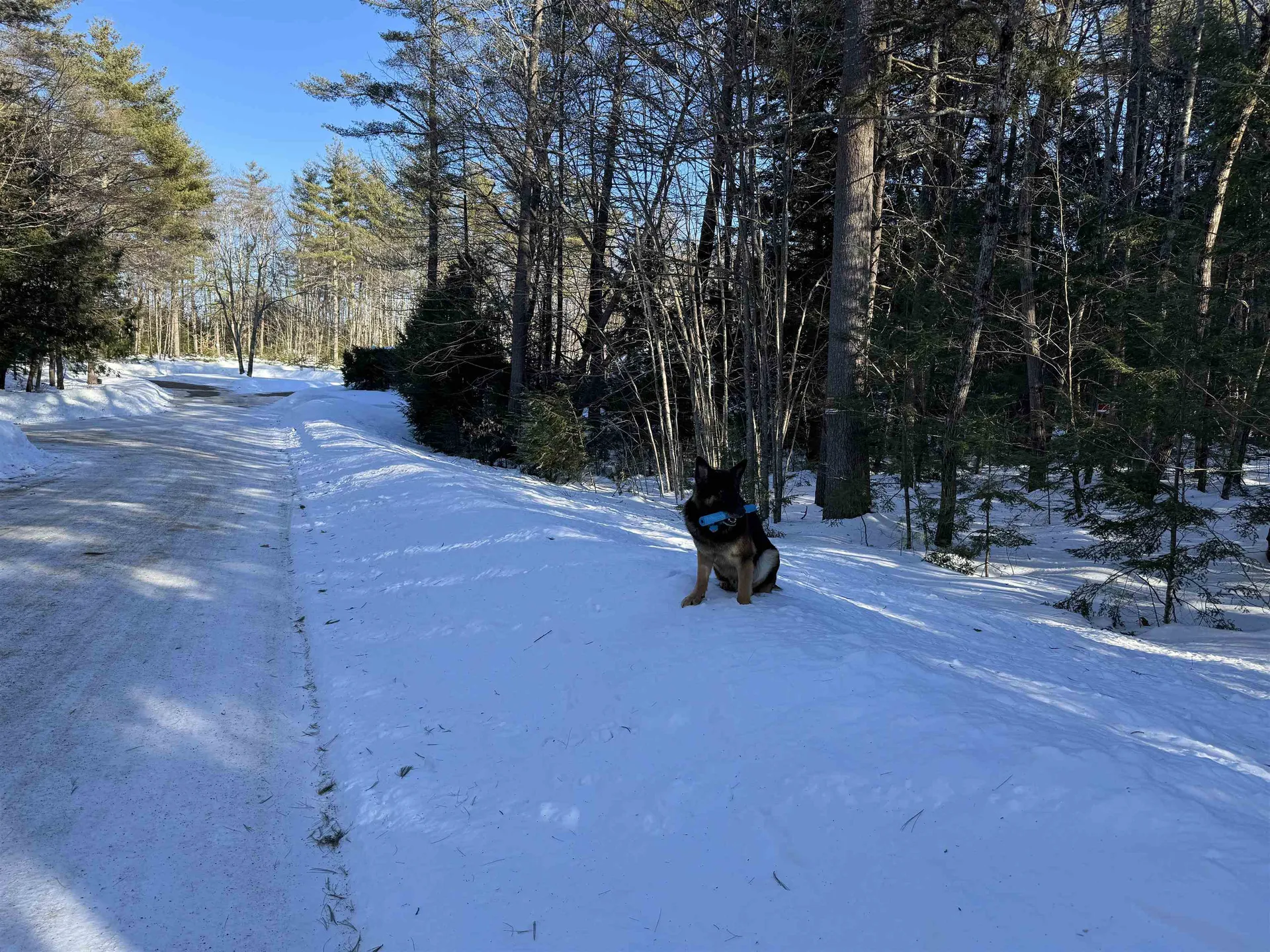 20 Barrington Circle Ossipee NH 03814