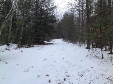20 Barrington Circle Ossipee NH 03814