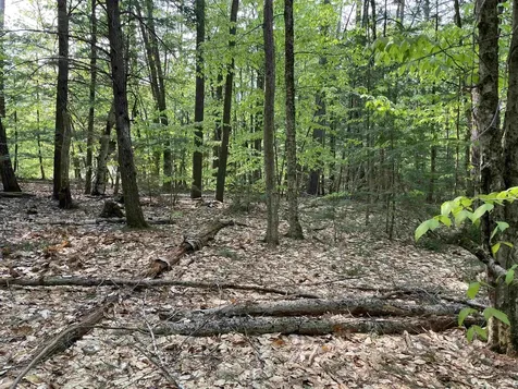 20 Barrington Circle Ossipee NH 03814