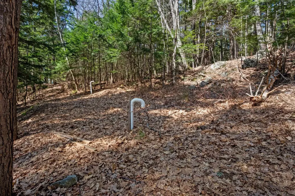 38 Brookside Lane Center Harbor NH 03226