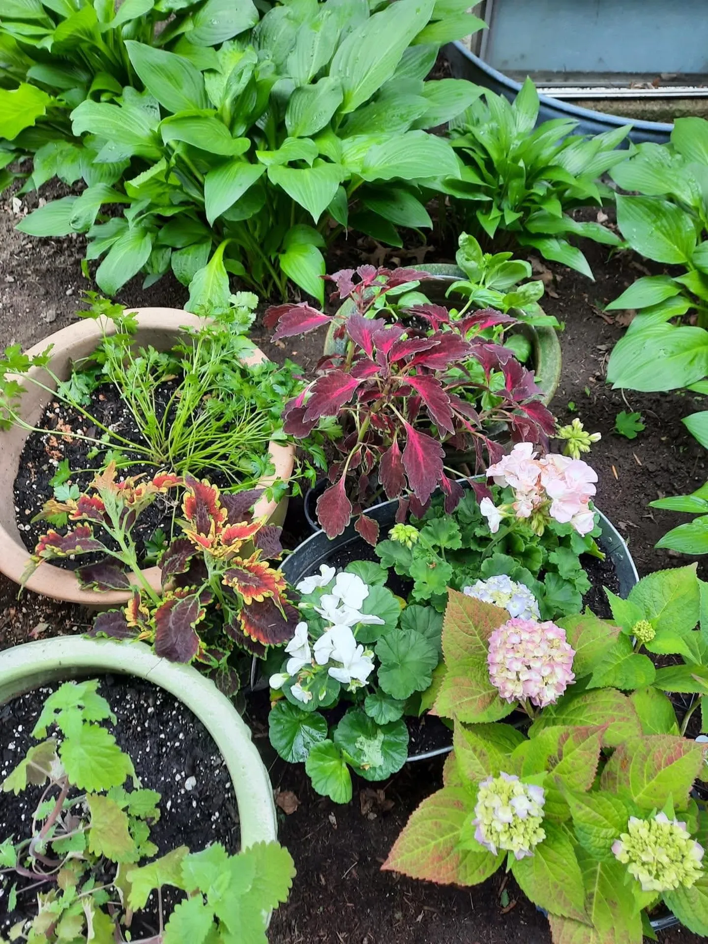 52 Belmont Avenue Brattleboro VT 05301