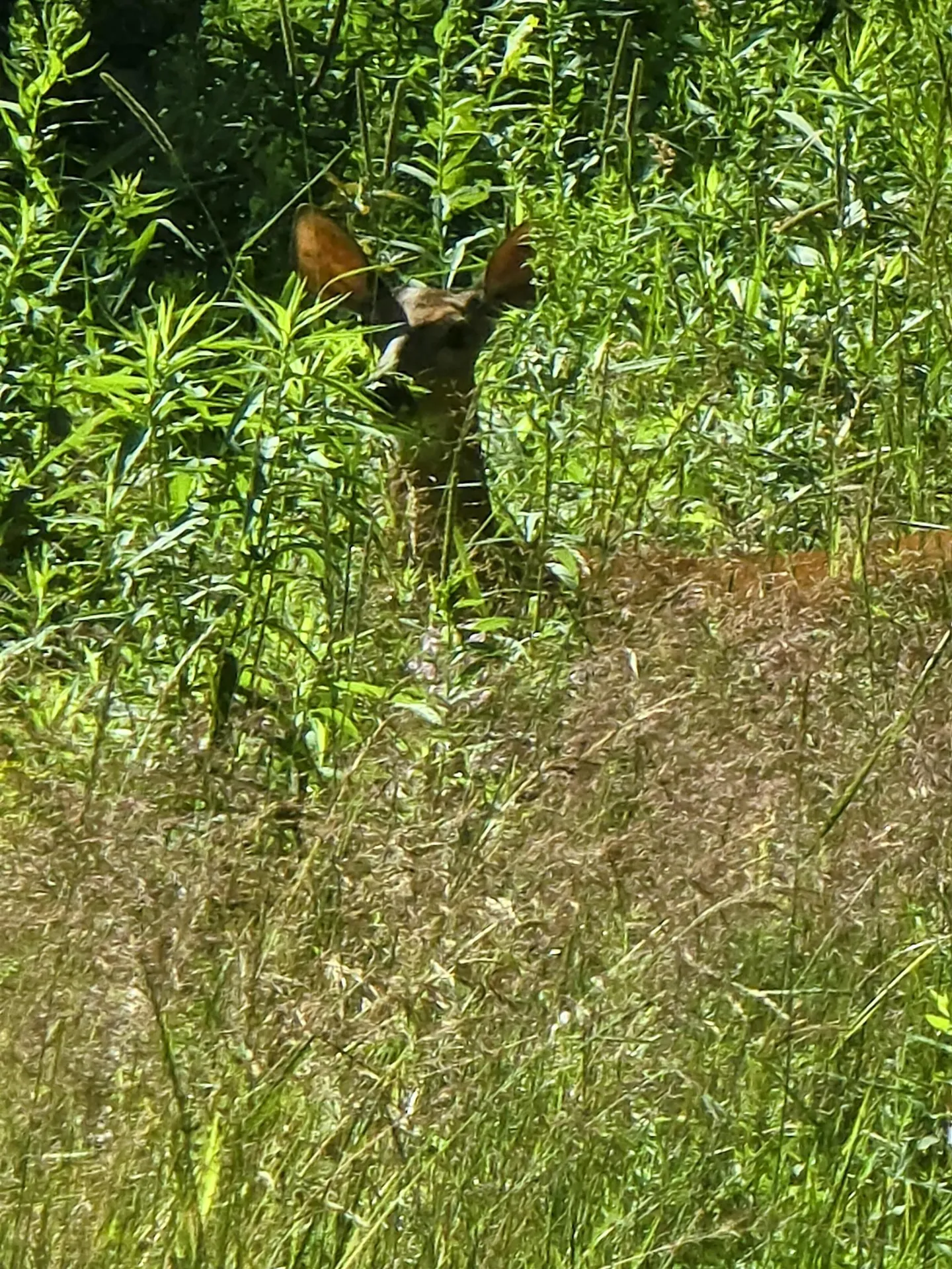 82 Hodge Hill Road Lisbon NH 03585