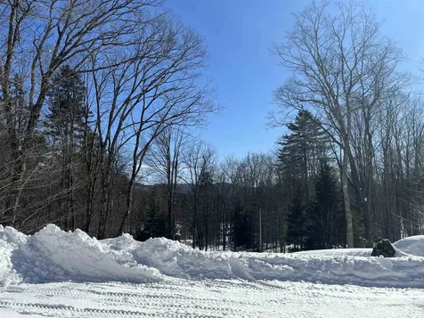 903 Old County Road Cavendish VT 05142