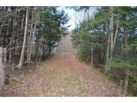 0 Woods Road West Ludlow VT 05149
