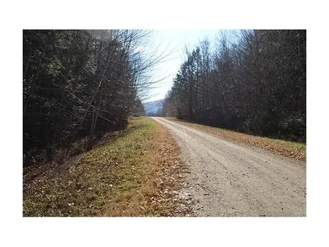 0 Woods Road West Ludlow VT 05149