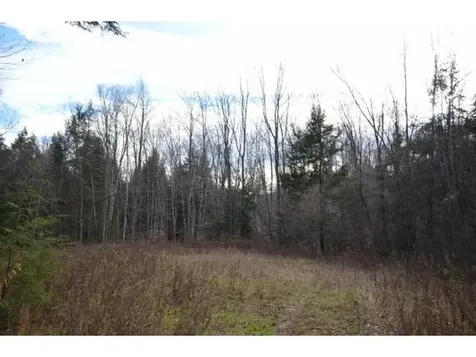 0 Woods Road West Ludlow VT 05149