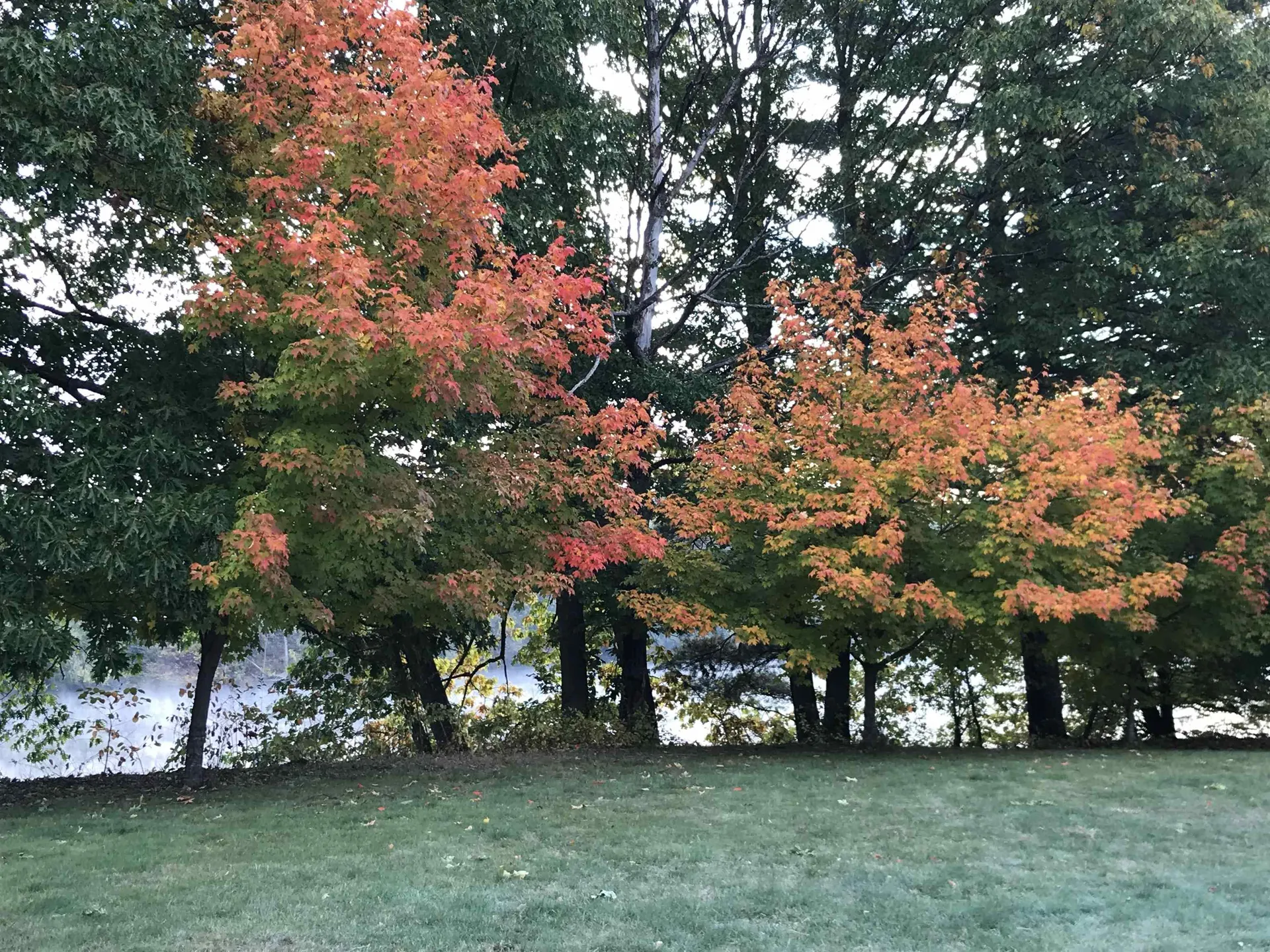 58 Walden Pond Drive Nashua NH 03064