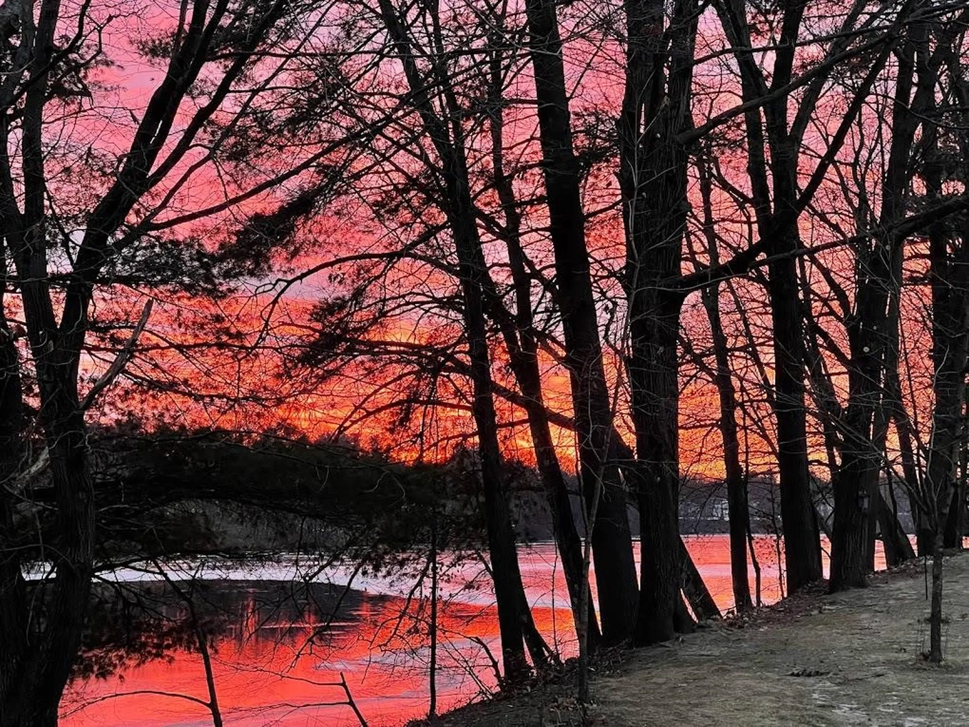 58 Walden Pond Drive Nashua NH 03064