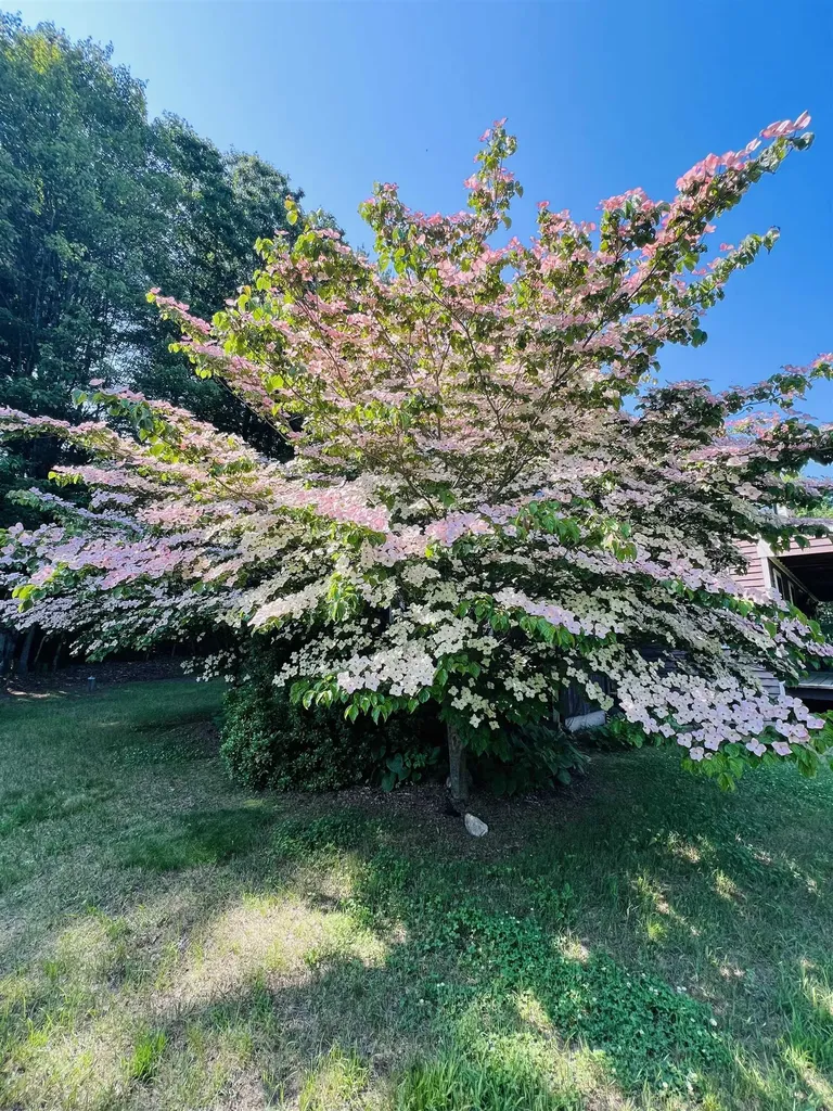 112 Breezy Acres Drive Vernon VT 05354