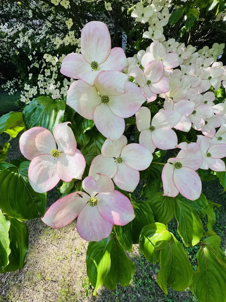 112 Breezy Acres Drive Vernon VT 05354