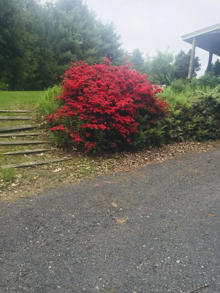 112 Breezy Acres Drive Vernon VT 05354