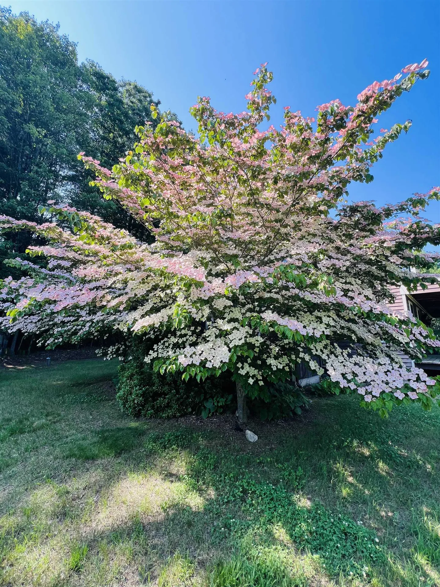 112 Breezy Acres Drive Vernon VT 05354