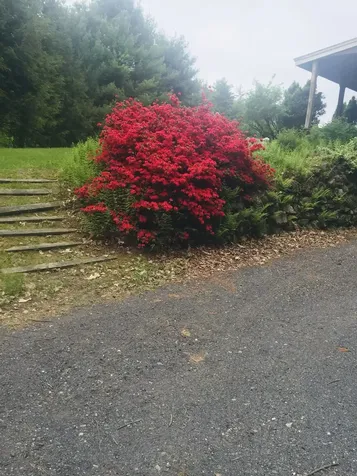 112 Breezy Acres Drive Vernon VT 05354