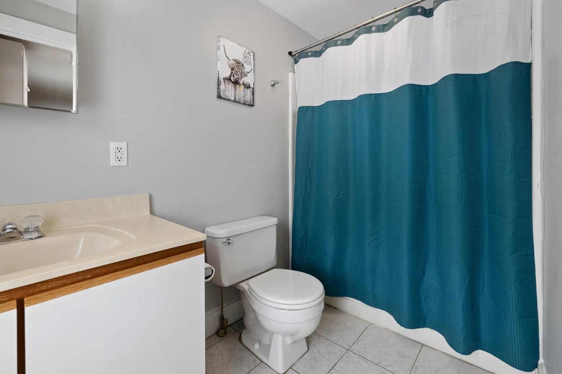 162 Highland Avenue Manchester VT 05255