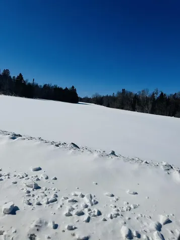 5067 Pudding Hill Road Sutton VT 05867