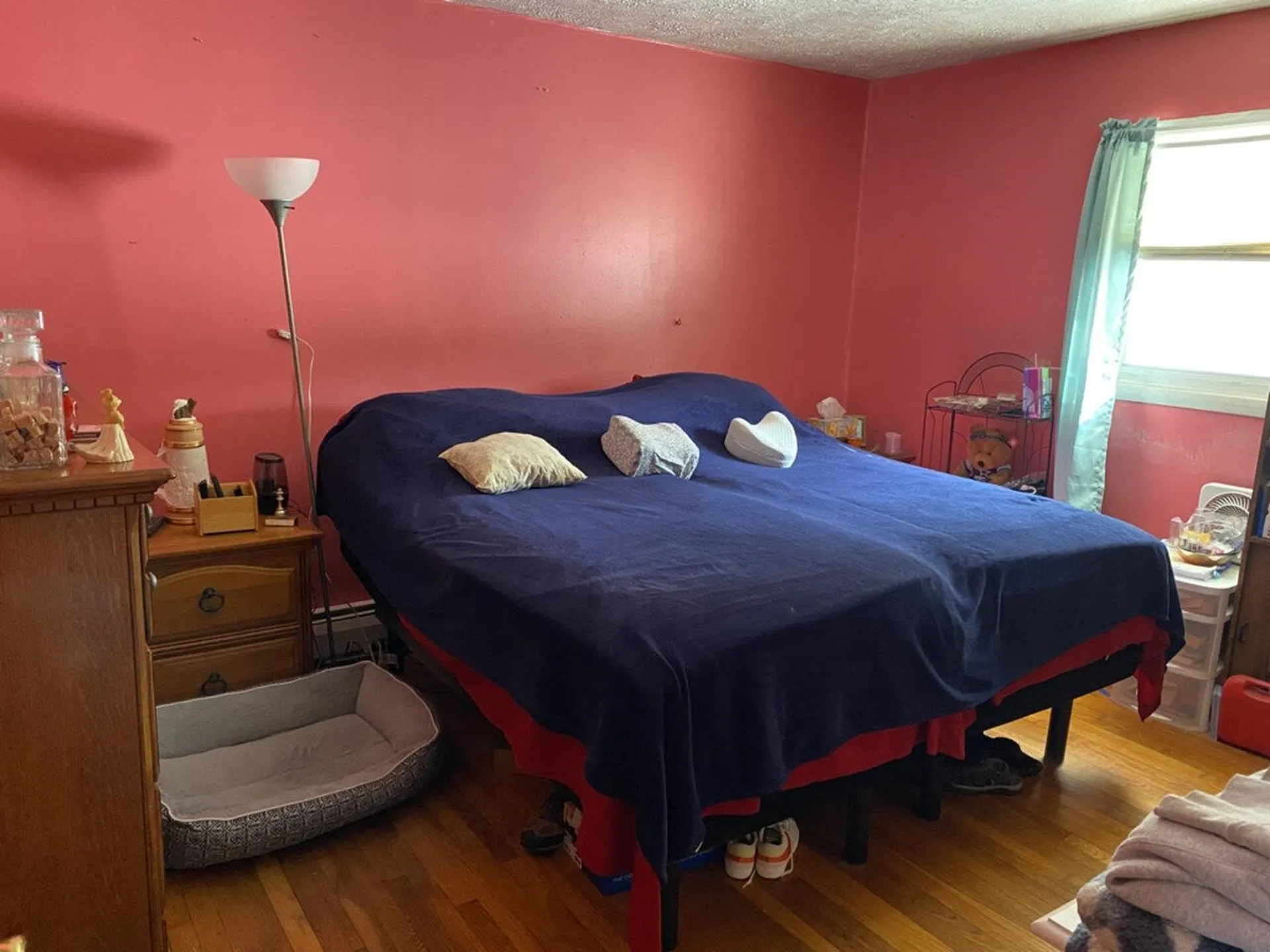 242 East Sheldon Road Sheldon VT 05450-9759