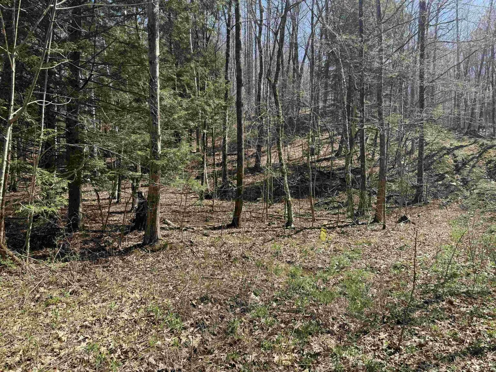 00 Robin Bird Lane Brandon VT 05733