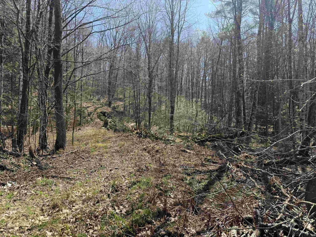 00 Robin Bird Lane Brandon VT 05733