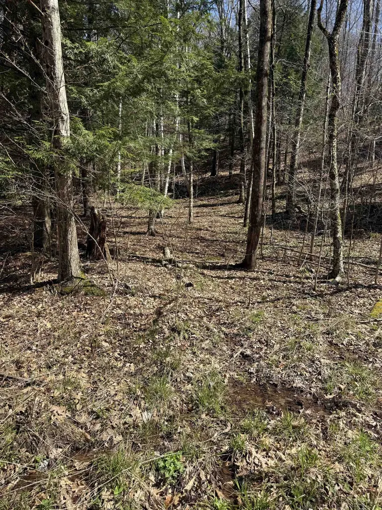 00 Robin Bird Lane Brandon VT 05733