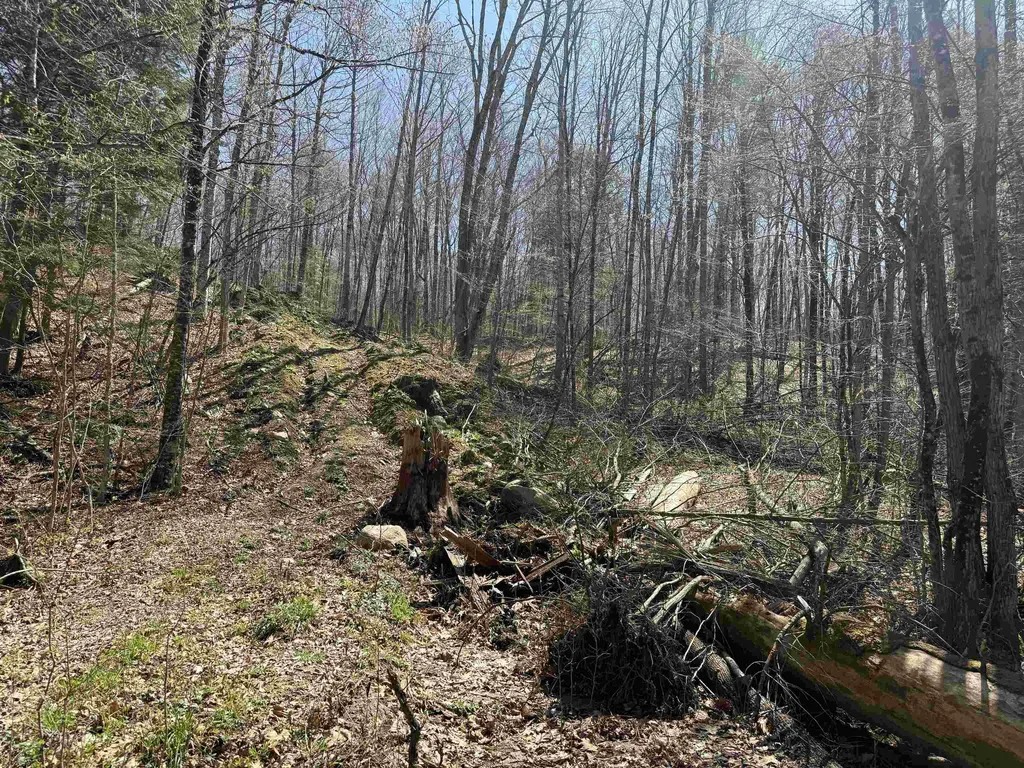 00 Robin Bird Lane Brandon VT 05733