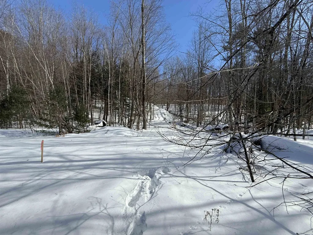 00 Robin Bird Lane Brandon VT 05733
