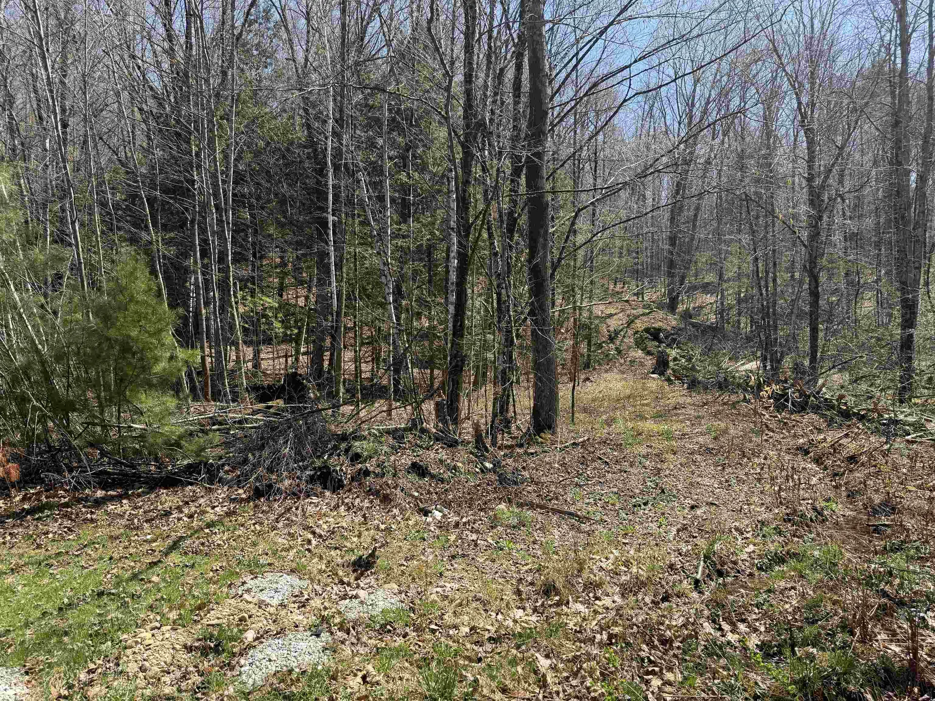 00 Robin Bird Lane Brandon VT 05733