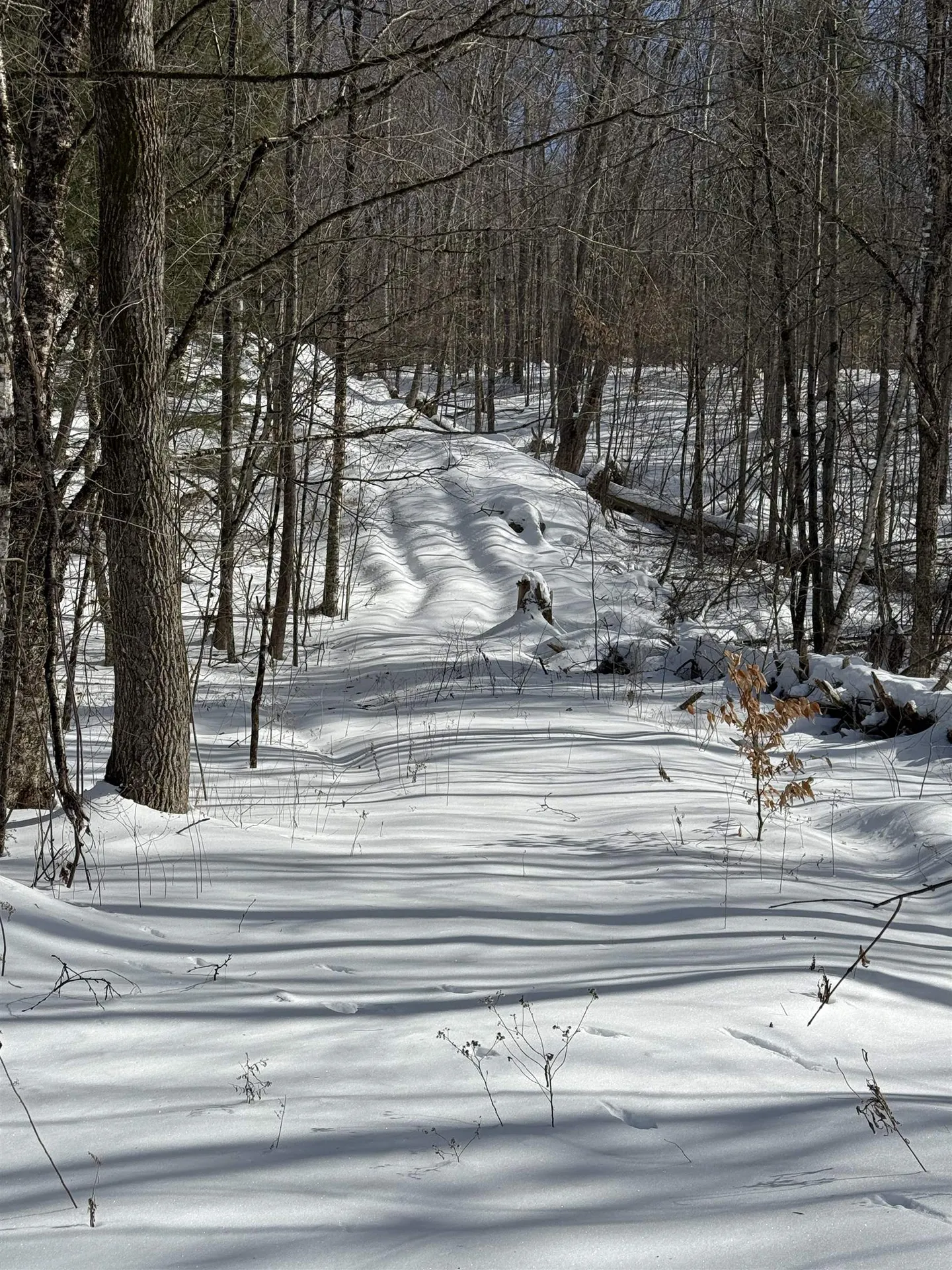 00 Robin Bird Lane Brandon VT 05733