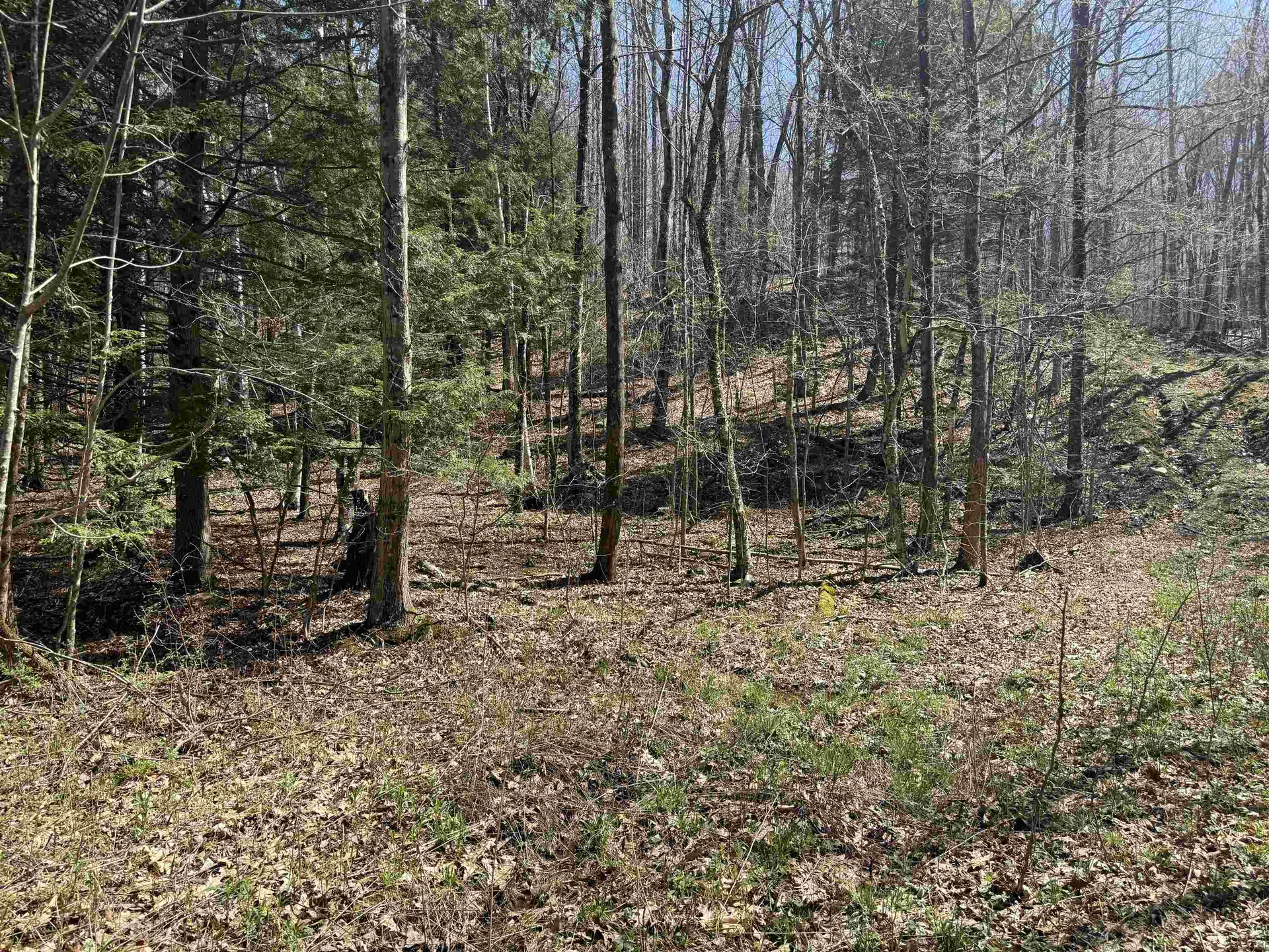 00 Robin Bird Lane Brandon VT 05733