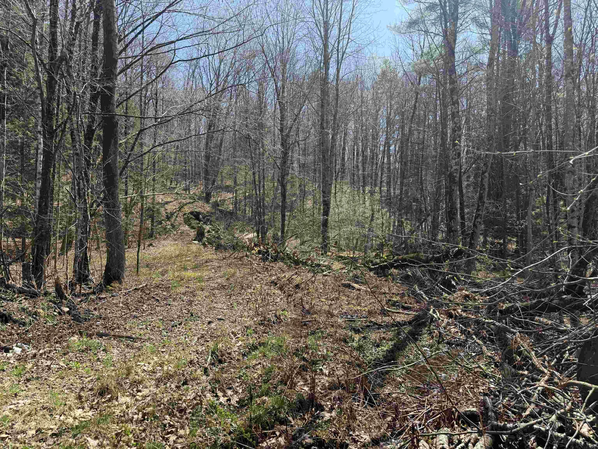 00 Robin Bird Lane Brandon VT 05733