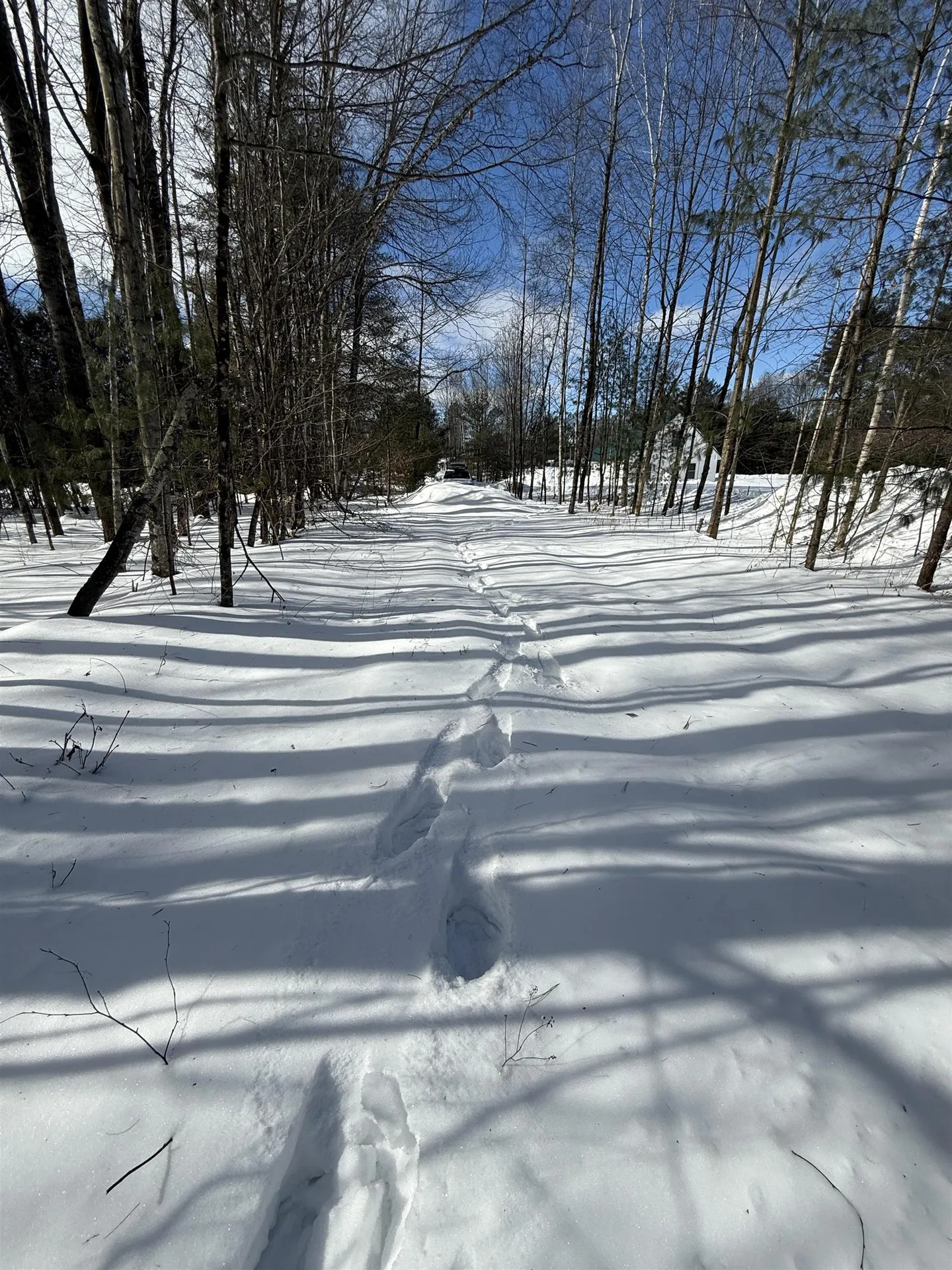 00 Robin Bird Lane Brandon VT 05733