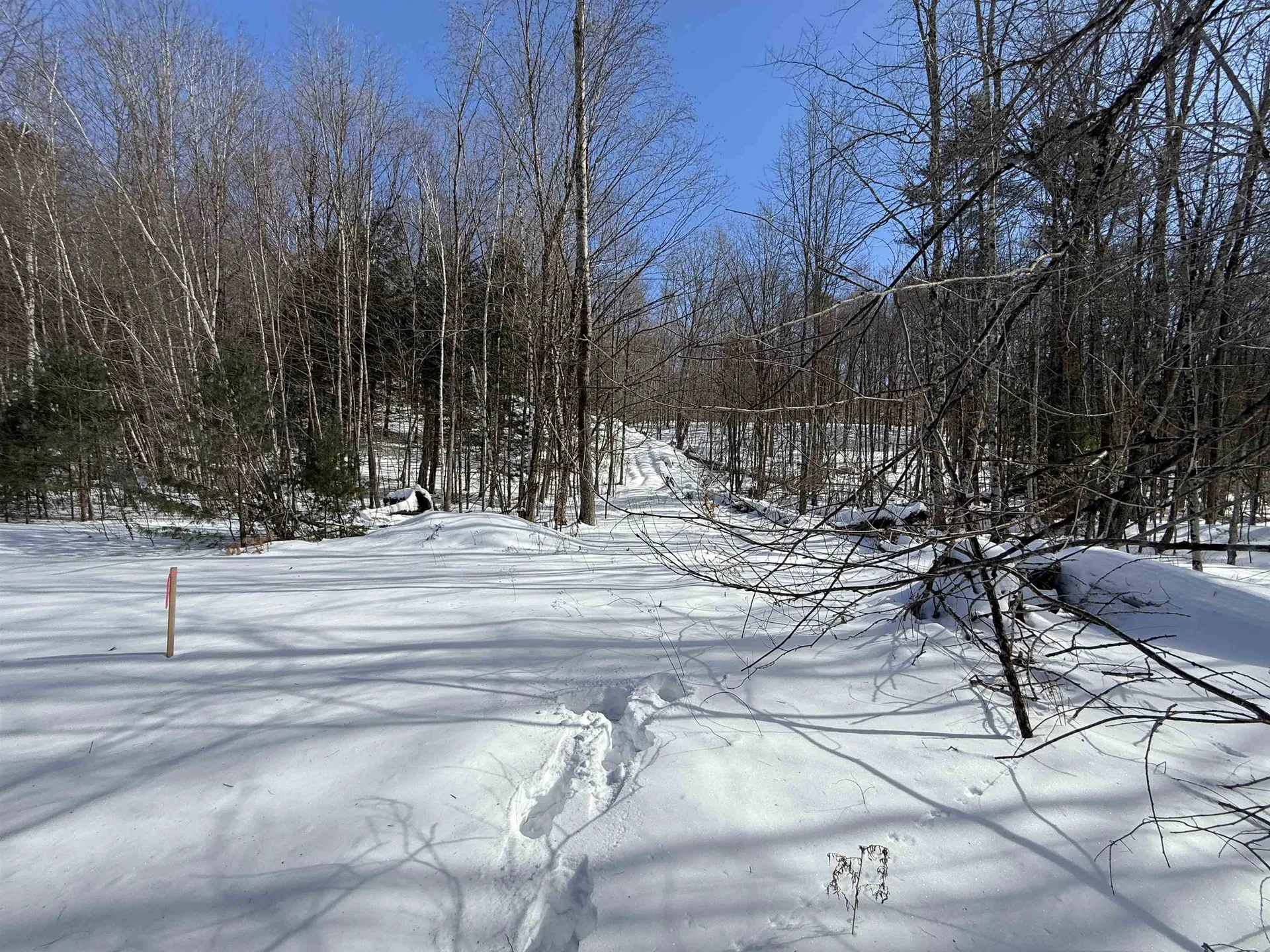 00 Robin Bird Lane Brandon VT 05733