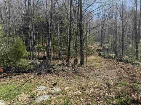 00 Robin Bird Lane Brandon VT 05733