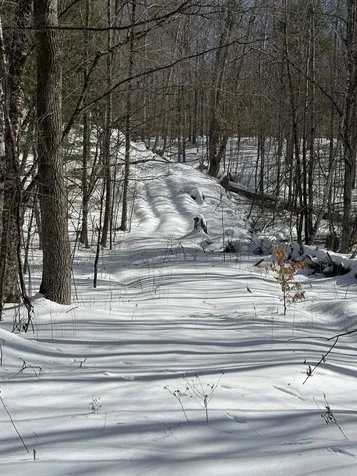 00 Robin Bird Lane Brandon VT 05733