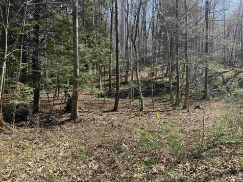 00 Robin Bird Lane Brandon VT 05733