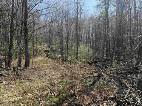 00 Robin Bird Lane Brandon VT 05733