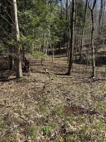 00 Robin Bird Lane Brandon VT 05733