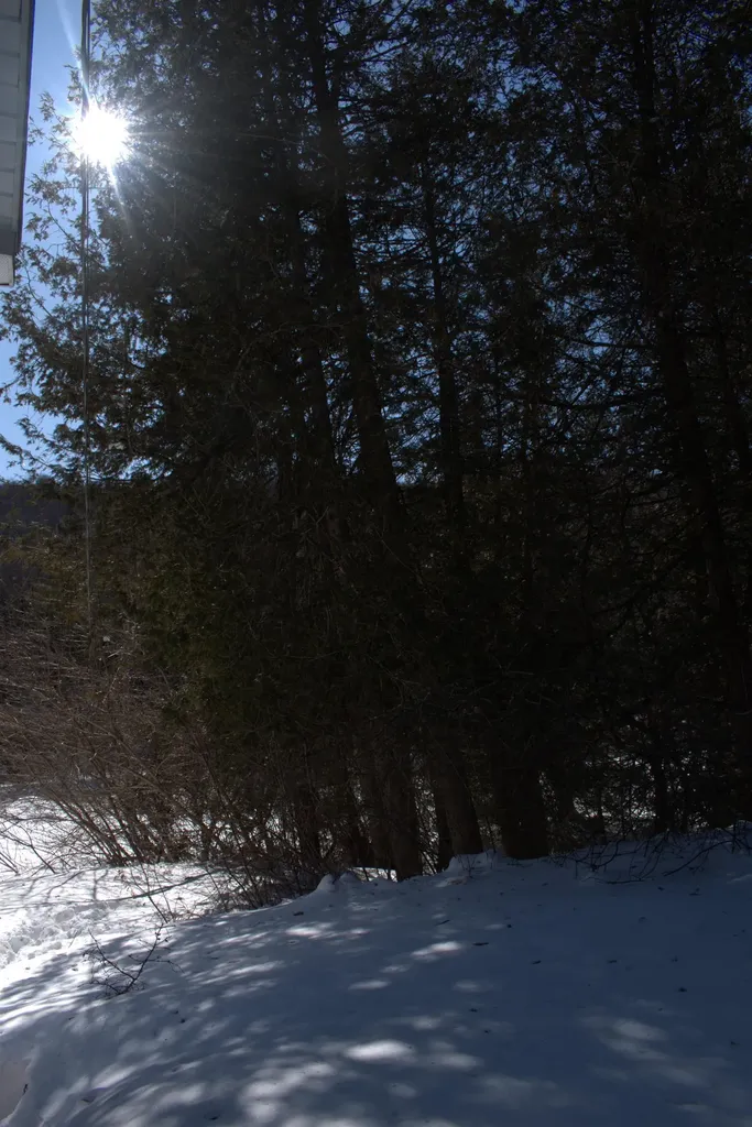 792 Us Route 5 Sutton VT 05867