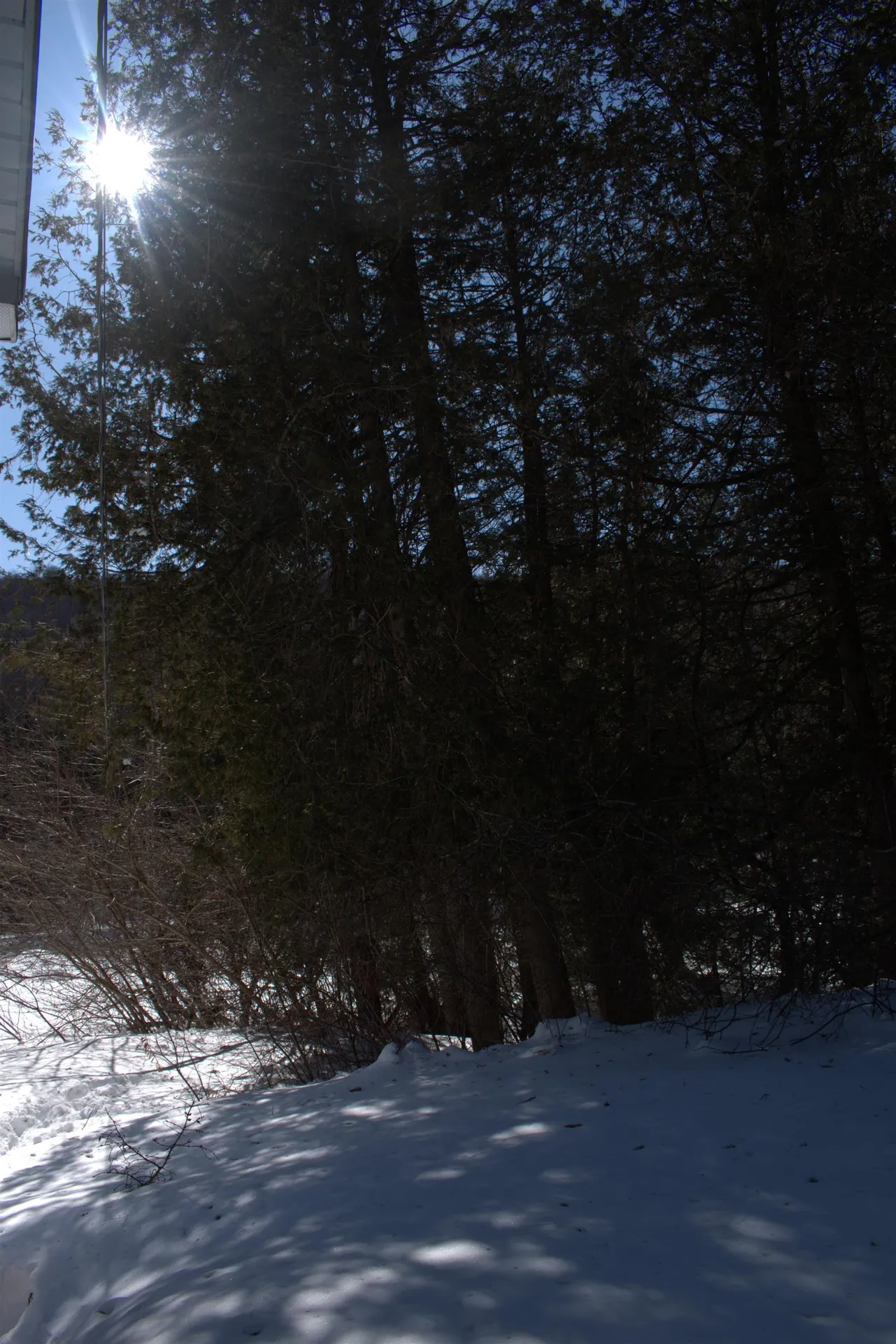 792 Us Route 5 Sutton VT 05867