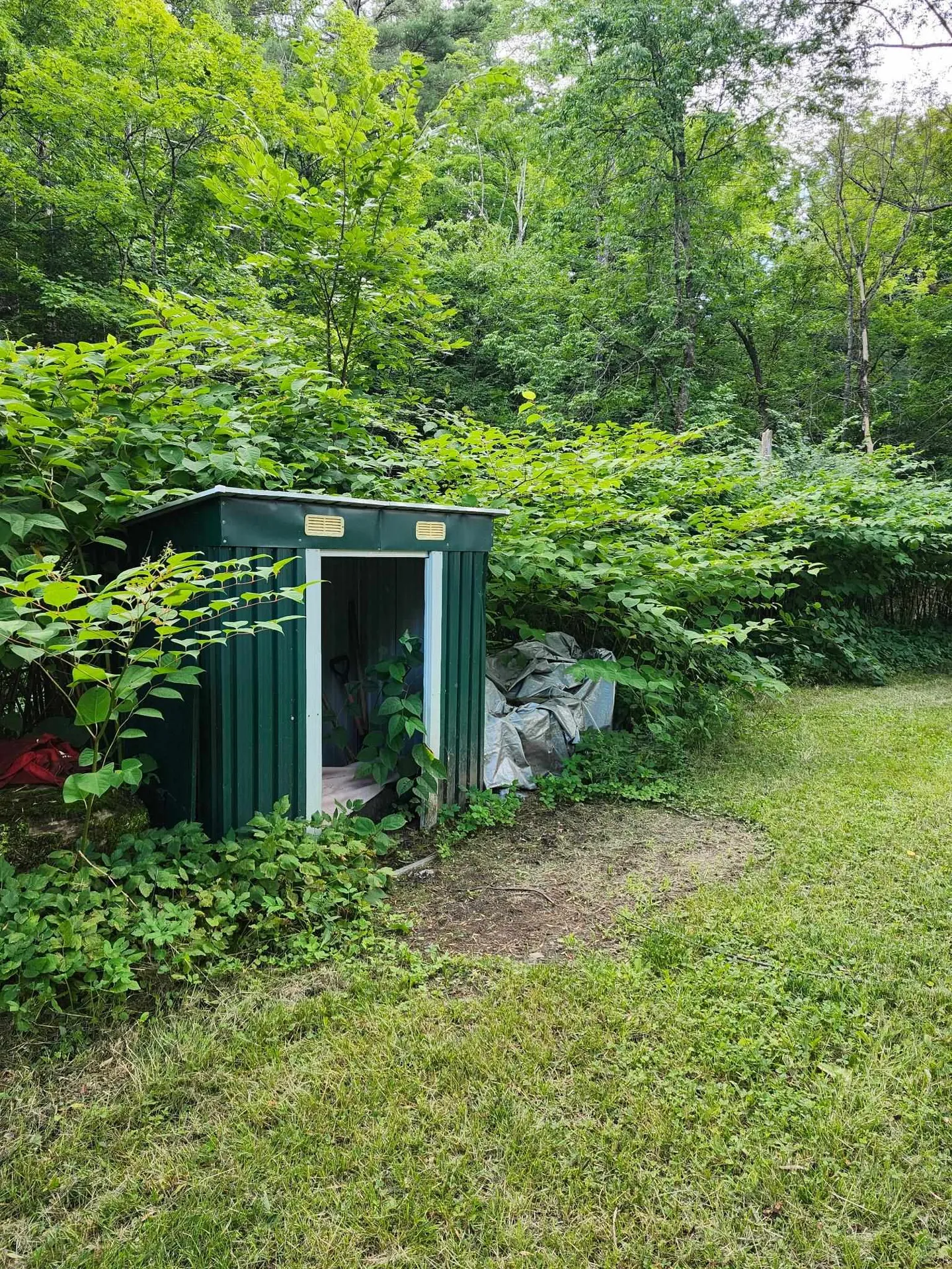 96 Vt-113 Chelsea VT 05038