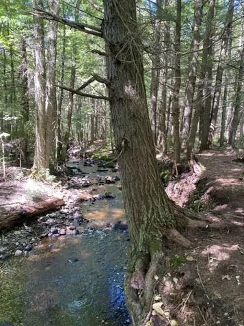 0 River Road Winhall VT 05340