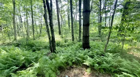 0 River Road Winhall VT 05340