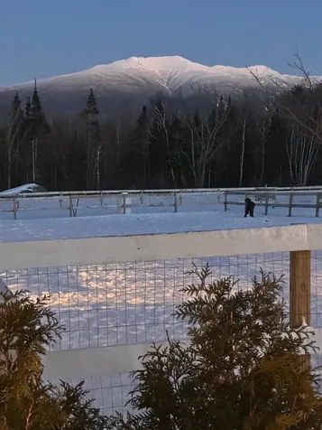 553 Birches Road Sugar Hill NH 03586