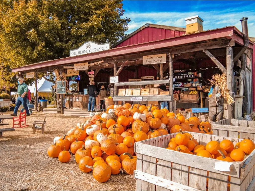 217 Elmore Street Shelburne VT 05482