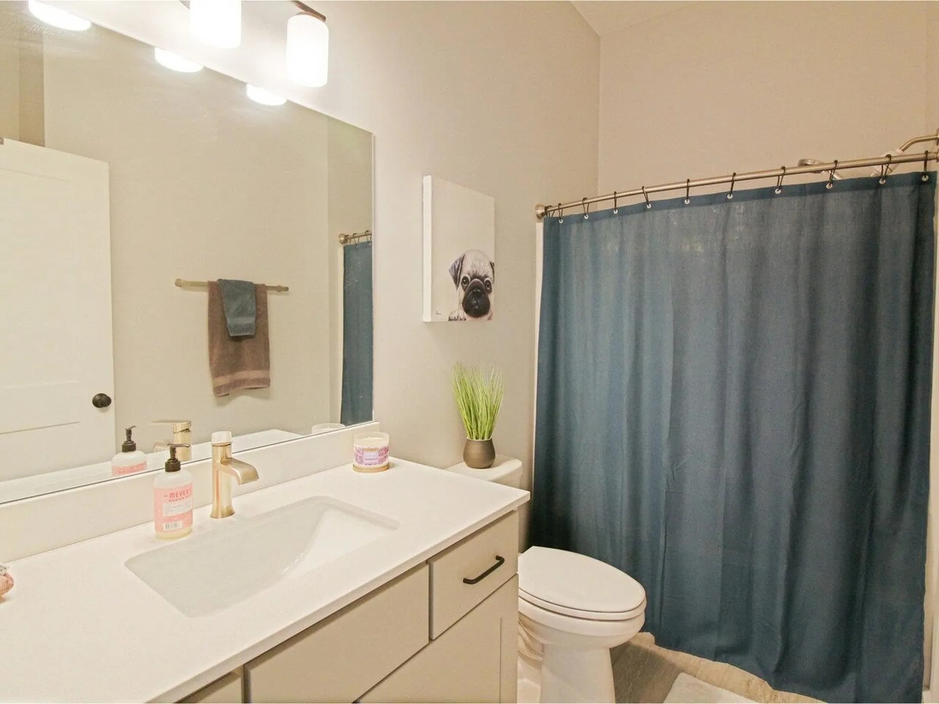 217 Elmore Street Shelburne VT 05482