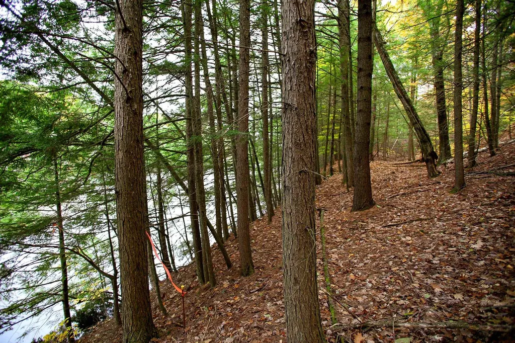 1235 Camp Road Hubbardton VT 05733