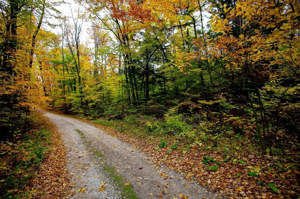 1235 Camp Road Hubbardton VT 05733