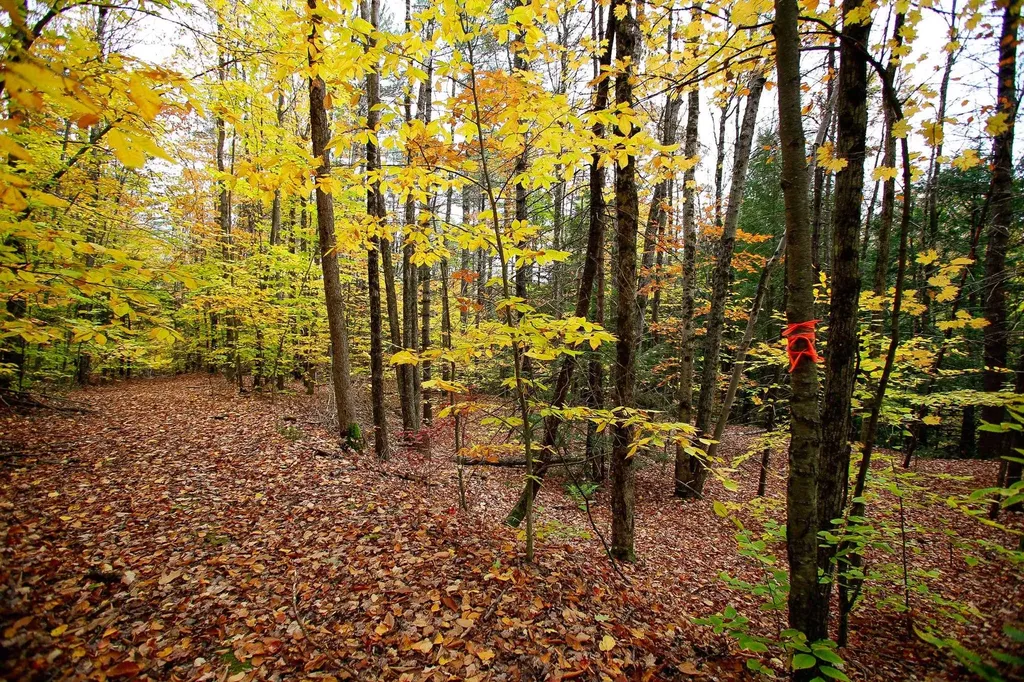 1235 Camp Road Hubbardton VT 05733